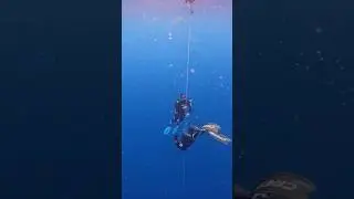 Freediving safety(Apnea) #freediving #blackout #apnea #safety #freediver #onebreath#rescue #tenerife