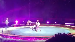 Ringling brothers circus extreme dogs