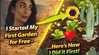 How I Started My First Garden for Free &mdash; And Now It&rsquo;s Being Taught Everywhere