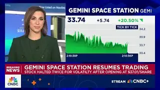 Gemini shares rise after two stock halts following IPO