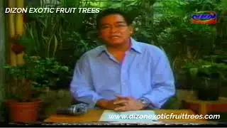 TOPWORKING - Ka Bernie Dizon legacy