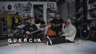 Quercia - Fermissimo / Live Session in Tuci