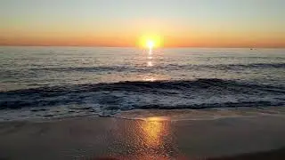 Sonido del Mar para Relajarse🌊Waves Sound 🦈Amanecer en la Playa🔆Sunrise in the Beach 🌞Salida del Sol