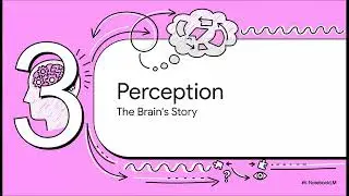 Perception Versus Observation: How the Mind Interprets Reality Before You Notice
