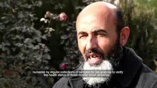 Documentary of Plant Biotechnology Laboratory, Badam Bagh, Kabul, Afghanistan
