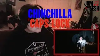 CHINCHILLA - 