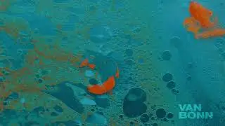 Van Bonn - The Drill - ETUILTD016