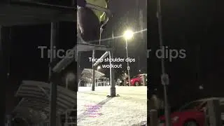 Tricep shoulder dips workout #bicep #brucelee #parkworkout #back #nogym #fit #run #batman #xmen