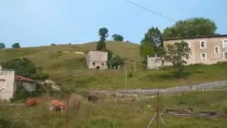 RAMALES  DE  LA  VICTORIA
