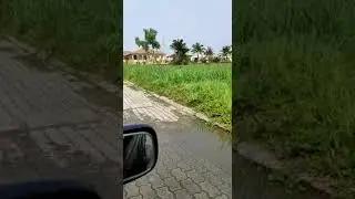 Cooperative Land Video