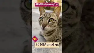 मेरी वीडियो वायरल हो गई #viralvideo #catcomedy #bunnystory #catvideos #animaldance