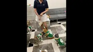 Nota Pet đang ph&aacute;t trực tiếp!