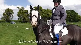 Colne Valley Dressage & Clear Round Show Jumping - May 2019 - This Cob Can