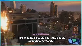Investigate Area For Black Cat Clues - Spiderman 2