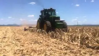Schulte FX1800 with Fixed Knife Technology cutting maize stalks near Thabazimbi