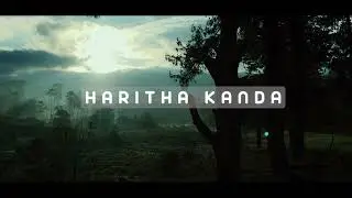 haritha kanda | Green Mountain | srilanka @abi-po9rx