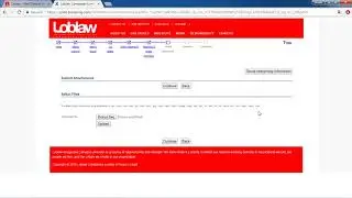 No Frills Job Application Process - Online Interview Questions 2020