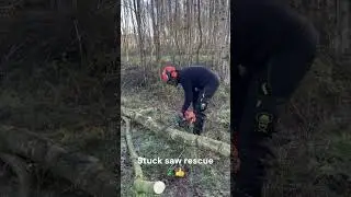 Rescue one chainsaw get another one stuck...check it out as might happen to you