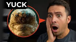 Hidden Creature in your face - Face Mites