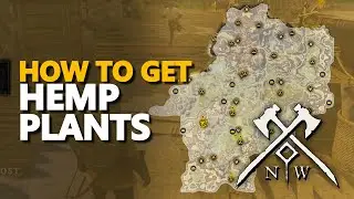 Hemp Plants New World
