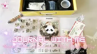 ASMR Journal with Me | Herbal Art & Chinese Herb Labels for a Calm Creative Day