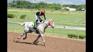 JAMAICA RACING: Kingswood At 2-1 In Sat, Nov 25, 2023, 2nd