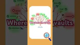 Where are vaults found - Where aren't they found??  #shorts
