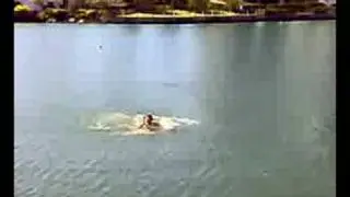 Crazy man jumps into Norwest Business Park lake