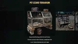 Fallout 76 Pet Lizard Terrarium First Look - Free April 2024 Reward For Fallout 1st