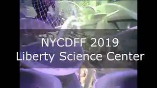 NYCDFF 2019 with Safety Third