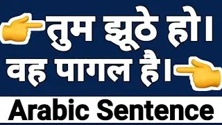 Hindi Arabic | Wah Pagal Aadami Hain Arabic Mein Bole | How to say He is Mad in Arabic |