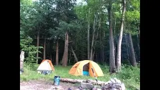 Tracy Ridge and North Country Trail in Allegheny National Forest