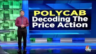Polycab India Slumps In Trade Following Reports Of Tax Evasion: Decoding The Price Action | N18V