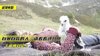 自暴自弃的人，看看这只被遗弃的雏鹰，是如何逆袭成鹰王的