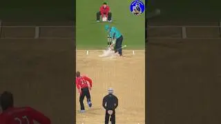 Real Cricket 22 | Josh Brown Shot | Gold Shot #502 |
