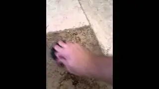 Hiding scratch on travertine