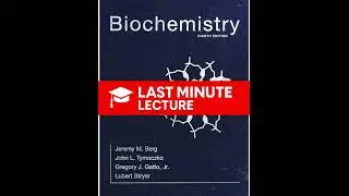 DNA, RNA & Flow of Genetic Information | Chapter 4 &ndash; Biochemistry (8th)
