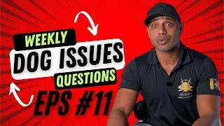 Bulletproofk9s dog trainer obedience protection tactical training tips and tricks weekly QnA EP11