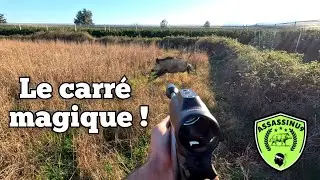 ☆Battue sangliers - Le carr&eacute; magique ! 2025/2026☆