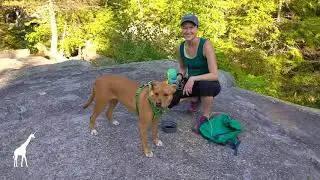 First-Aid Supplies for Your Dog + Treatment Tips || SheJumps + Adventure Medical Kits