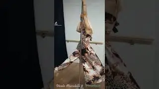 Pole dance coreografia
