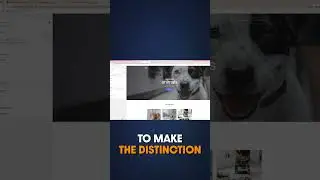 WordPress Theme Customizer vs Page Builder? #shorts