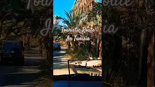 🌴 Touristic Route in Tunisia 🚗 A Drive Through Palm Trees Like in the Movies | Cinematic POV