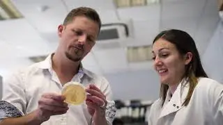 Rob de Bruin - Professor of Molecular Cancer Biology - UCL MRC LMCB