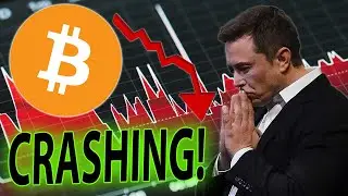 WARNING!! BIGGER BITCOIN CRASH COMING?! FED SIGNALS...