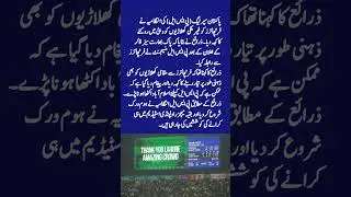 PSL franchises told to stop foreign players from entering Dubai #psl2025 #ytshorts #youtubeshorts