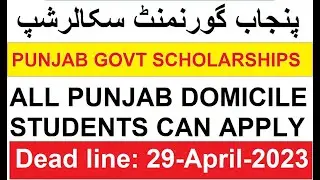 Punjab Government Scholarship 2023 | PEEF Scholarship | how to apply for PEEF Scholarship | in urdu