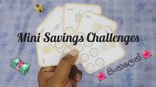 Mini Saving Challenges 🌷 සිංහලෙන් 🌷 #CrazyShopper
