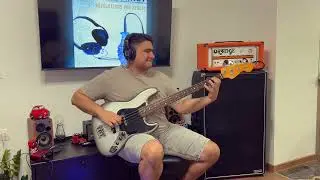 Rise Against - Like the Angel (Bass Cover)