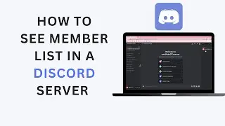 How To See Member List In A Discord Server